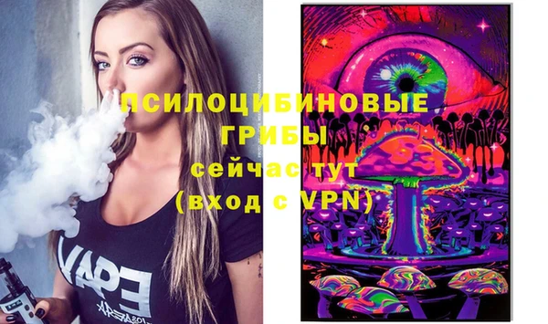 индика Ельня