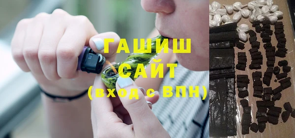 индика Ельня