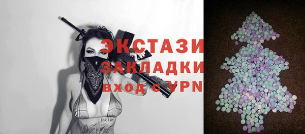 индика Ельня