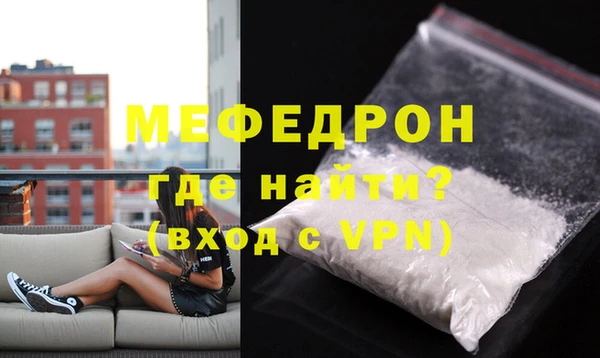индика Ельня