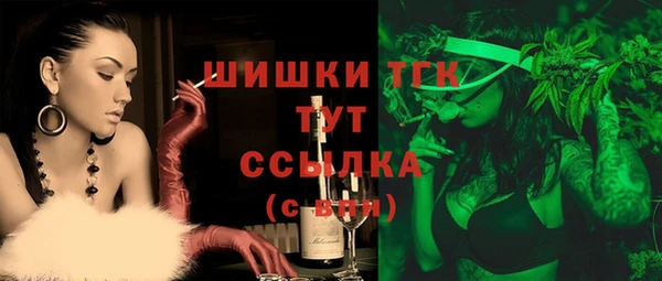 гашик Заволжск