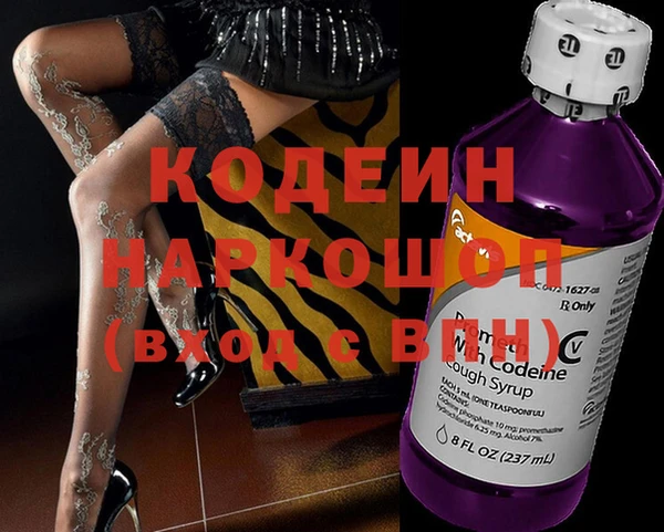 индика Ельня