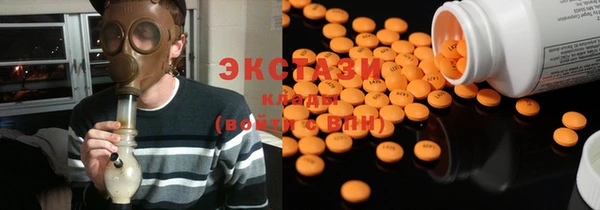 индика Ельня