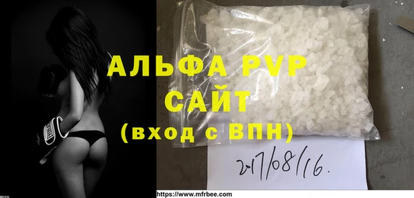индика Ельня