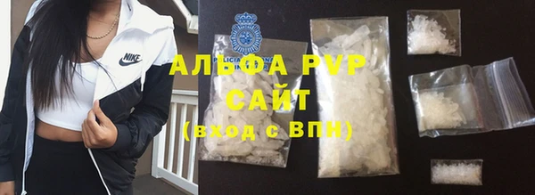 индика Ельня