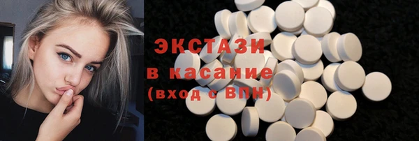 индика Ельня
