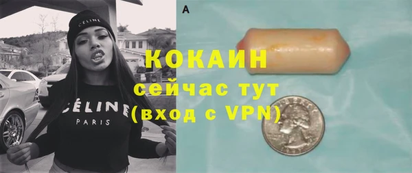 индика Ельня