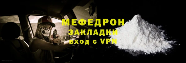 индика Ельня
