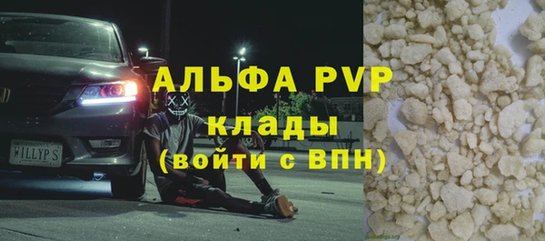 индика Ельня