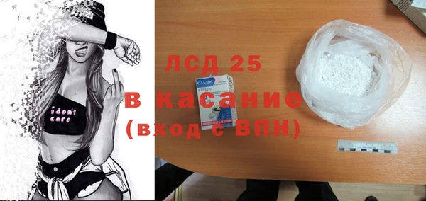 индика Ельня