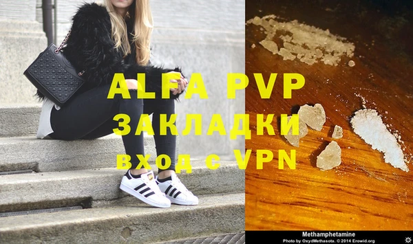 индика Ельня