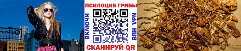 Галлюциногенные грибы прущие грибы  Петухово 